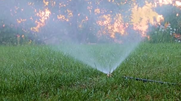 Klart Vattenflöde Vid Bevattning Gräs Med Plastspruta — Stockvideo