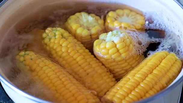 Woda Podczas Gotowania Świeżej Kukurydzy Kolbie — Wideo stockowe
