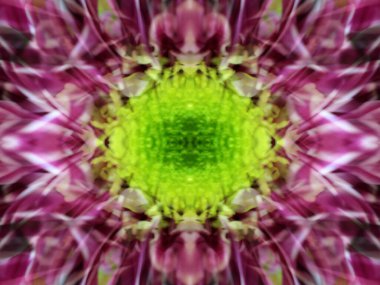 Bir çiçeği üç aynada fotoğraflarken soyut resim