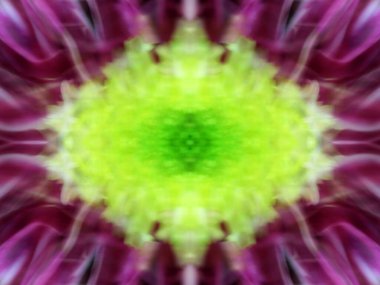 Bir çiçeği üç aynada fotoğraflarken soyut resim