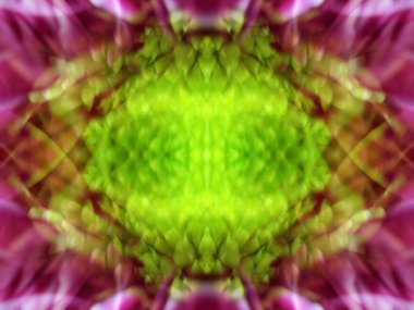 Bir çiçeği üç aynada fotoğraflarken soyut resim