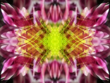 Bir çiçeği üç aynada fotoğraflarken soyut resim