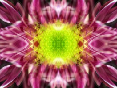 Bir çiçeği üç aynada fotoğraflarken soyut resim