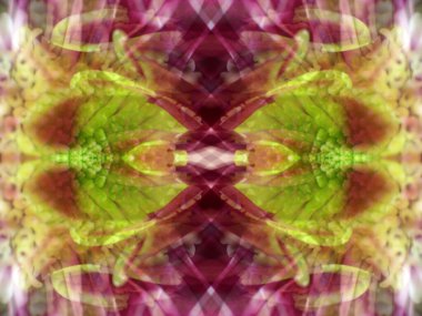 Bir çiçeği üç aynada fotoğraflarken soyut resim