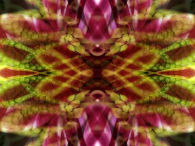 Bir çiçeği üç aynada fotoğraflarken soyut resim