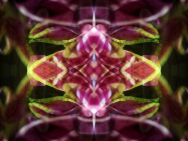 Bir çiçeği üç aynada fotoğraflarken soyut resim