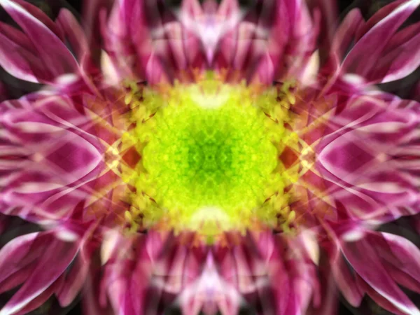 Bir çiçeği üç aynada fotoğraflarken soyut resim