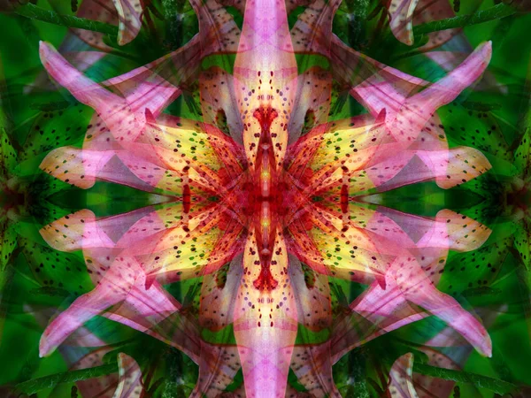 Симметричные Цветочные Узоры Калейдоскопе — стоковое фото