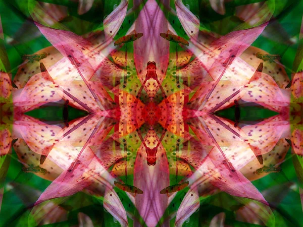 Vackra Symmetriska Blommor Tema Mönster Kalejdoskop — Stockfoto