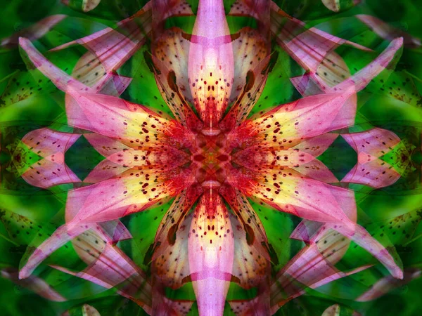 Güzel Simetrik Çiçek Temalı Desenler Kaleydoskopta — Stok fotoğraf