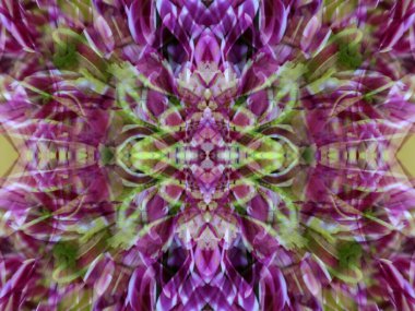 Aynada çiçekleri fotoğraflarken inanılmaz desenler