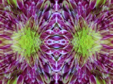 Aynada çiçekleri fotoğraflarken inanılmaz desenler