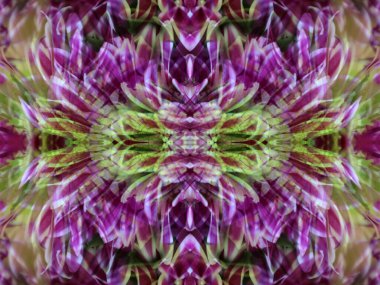 Aynada çiçekleri fotoğraflarken inanılmaz desenler