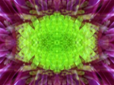 Kaleydoskoptaki doğal bitkinin güzel çiçek deseni