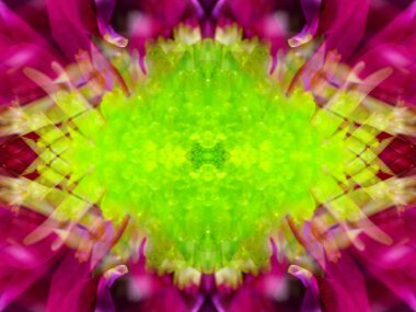 Kaleydoskoptaki doğal bitkinin güzel çiçek deseni