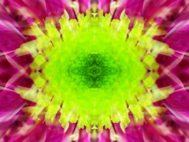 Kaleydoskoptaki doğal bitkinin güzel çiçek deseni