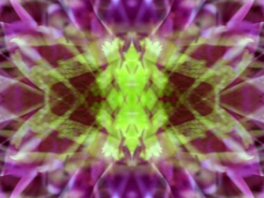 Kaleydoskoptaki doğal bitkinin güzel çiçek deseni