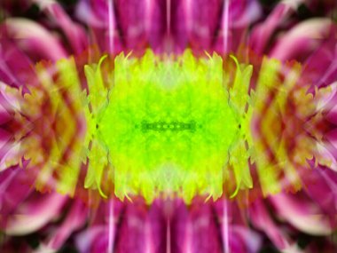 Kaleydoskoptaki doğal bitkinin güzel çiçek deseni