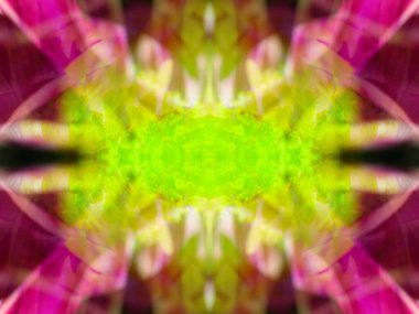 Kaleydoskoptaki doğal bitkinin güzel çiçek deseni