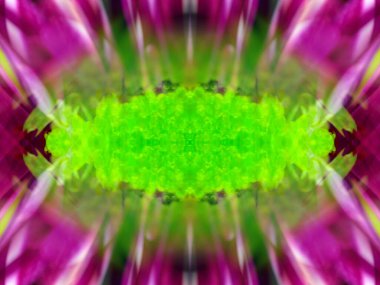 Kaleydoskoptaki doğal bitkinin güzel çiçek deseni