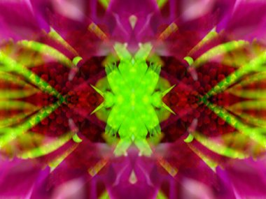 Kaleydoskoptaki doğal bitkinin güzel çiçek deseni