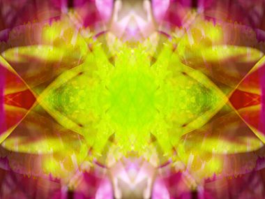 Kaleydoskoptaki doğal bitkinin güzel çiçek deseni