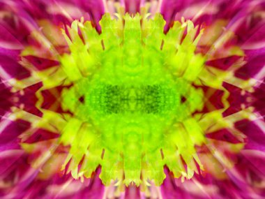 Kaleydoskoptaki doğal bitkinin güzel çiçek deseni