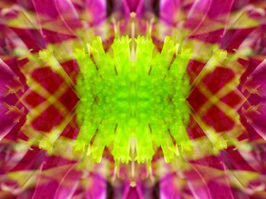 Kaleydoskoptaki doğal bitkinin güzel çiçek deseni