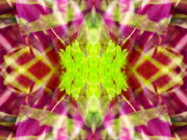 Kaleydoskoptaki doğal bitkinin güzel çiçek deseni