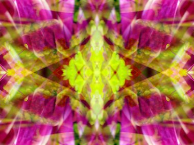 Kaleydoskoptaki doğal bitkinin güzel çiçek deseni