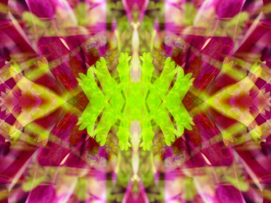 Kaleydoskoptaki doğal bitkinin güzel çiçek deseni