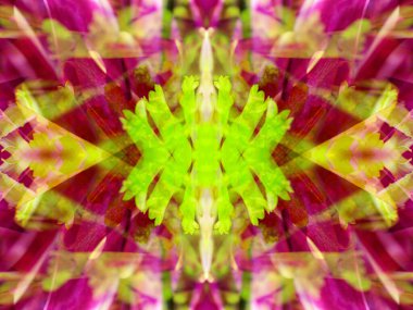 Kaleydoskoptaki doğal bitkinin güzel çiçek deseni