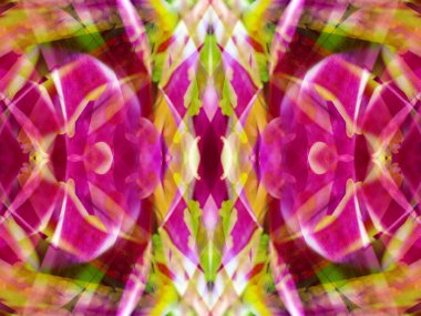 Kaleydoskoptaki doğal bitkinin güzel çiçek deseni