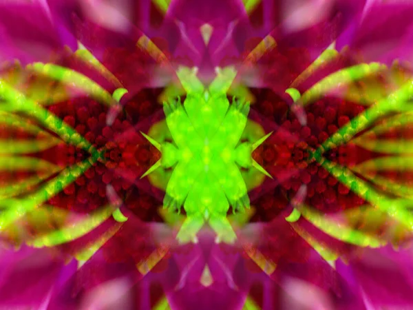 Kaleydoskoptaki doğal bitkinin güzel çiçek deseni