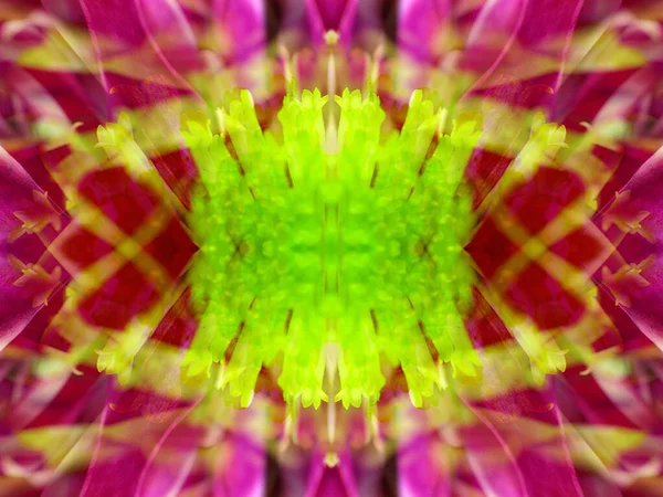 Kaleydoskoptaki doğal bitkinin güzel çiçek deseni