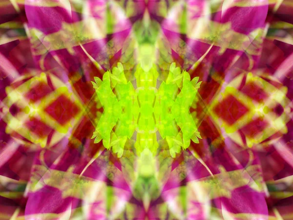 Kaleydoskoptaki doğal bitkinin güzel çiçek deseni