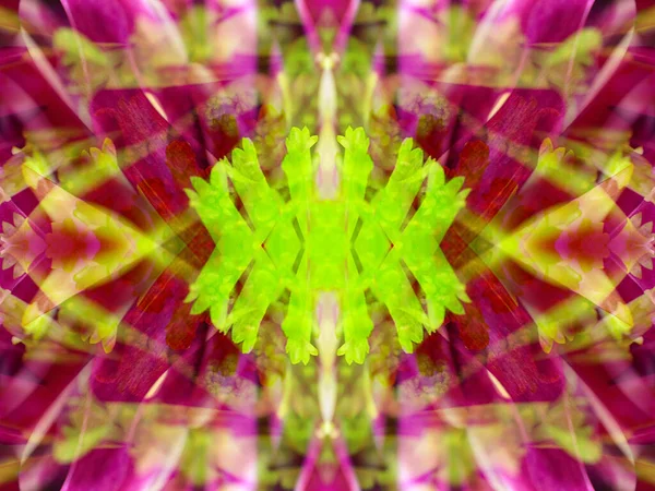Kaleydoskoptaki doğal bitkinin güzel çiçek deseni