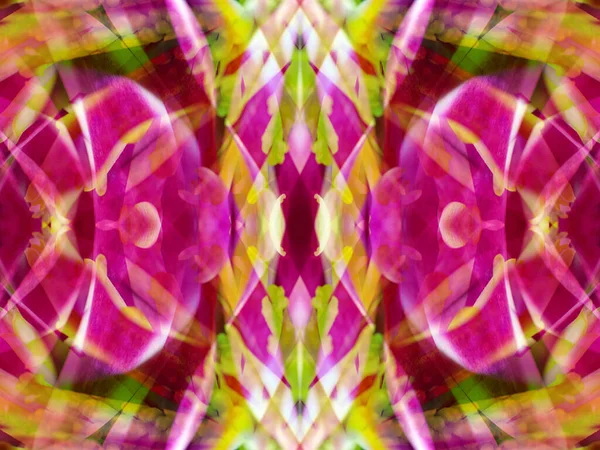 Kaleydoskoptaki doğal bitkinin güzel çiçek deseni
