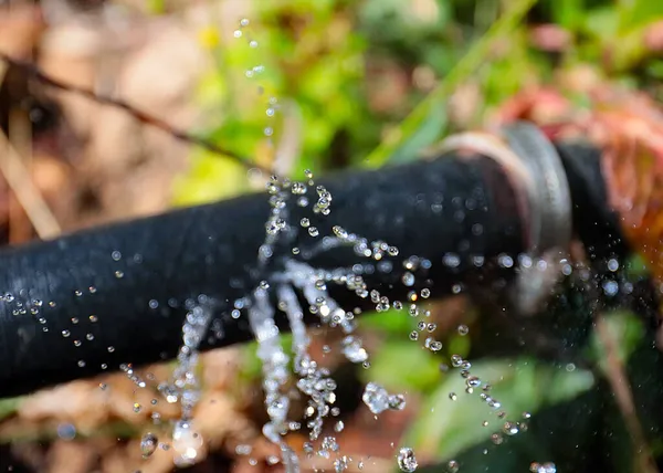 Διαυγές Νερό Εκρέει Υπό Πίεση Μέσω Οπών Στον Ελαστικό Σωλήνα — Φωτογραφία Αρχείου