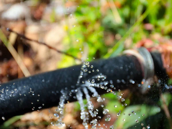 Clear Water Flows Out Pressure Holes Rubber Hose Irrigation — Stock Photo, Image