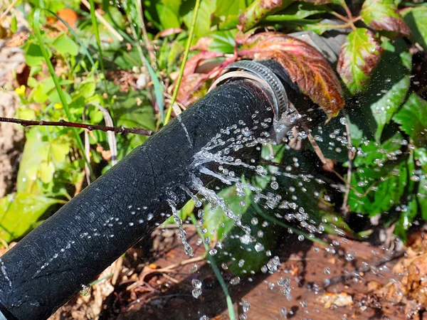 Agua Clara Fluye Bajo Presión Través Agujeros Manguera Goma Para — Foto de Stock