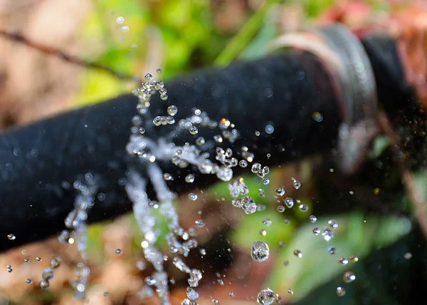 Чистая Вода Вытекает Давлением Через Отверстия Резиновом Шланге Орошения — стоковое фото