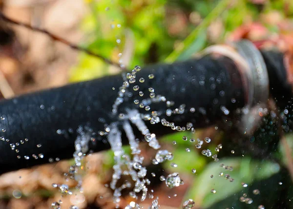 Eau Claire Écoule Sous Pression Travers Des Trous Dans Tuyau — Photo