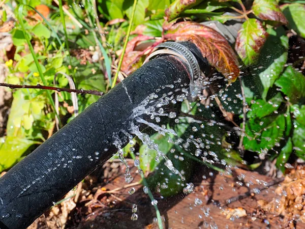 Água Limpa Flui Sob Pressão Através Furos Mangueira Borracha Para — Fotografia de Stock