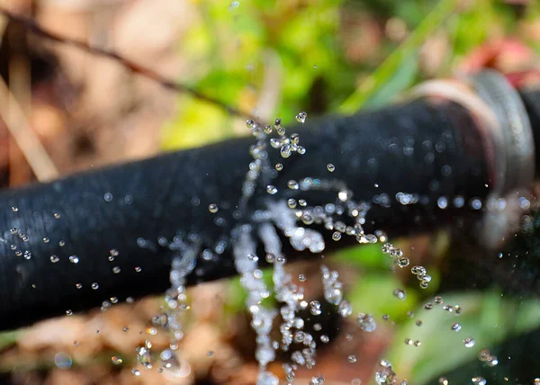 澄んだ水がゴム製のホースの穴を通って灌漑用に流れ込み — ストック写真