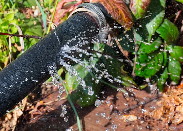 Agua Clara Fluye Bajo Presión Través Agujeros Manguera Goma Para —  Fotos de Stock