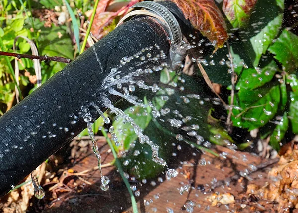 Água Limpa Flui Sob Pressão Através Furos Mangueira Borracha Para — Fotografia de Stock