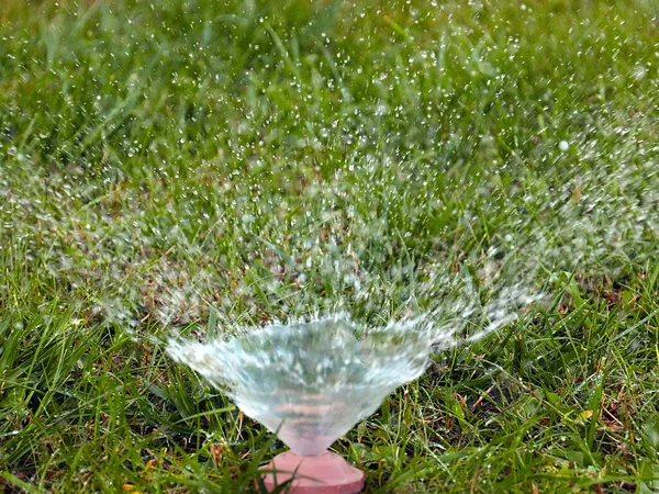 Clean Water Flows Out Plastic Spray Nozzle Watering Green Grass — Stock Photo, Image