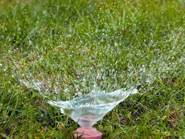 Agua Limpia Fluye Través Una Boquilla Pulverización Plástico Regar Hierba —  Fotos de Stock