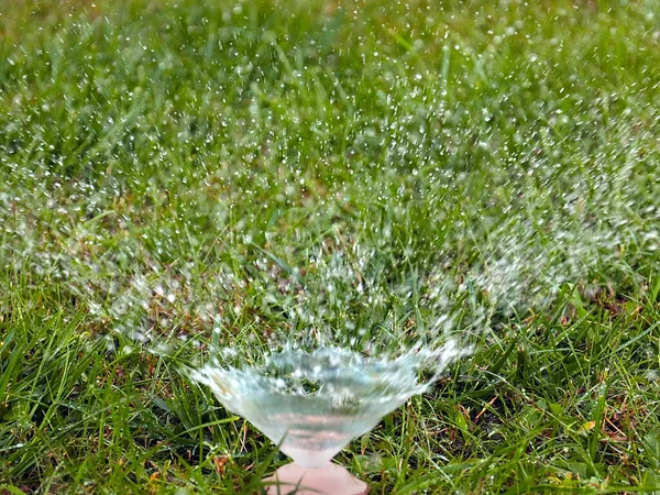 Rent Vatten Rinner Genom Ett Plastmunstycke När Vattnar Gräsmattans Gröna — Stockfoto